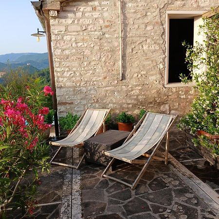Agriturismo Del Frontino - Lo Studio アックアラーニャ エクステリア 写真