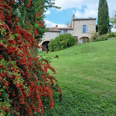 Agriturismo Del Frontino - Lo Studio アックアラーニャ エクステリア 写真