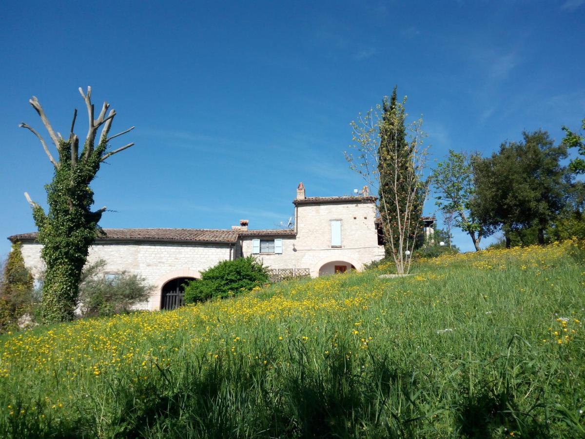 Agriturismo Del Frontino - Lo Studio アックアラーニャ エクステリア 写真