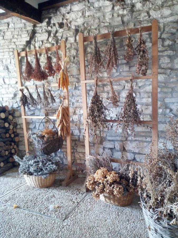 Agriturismo Del Frontino - Lo Studio アックアラーニャ エクステリア 写真