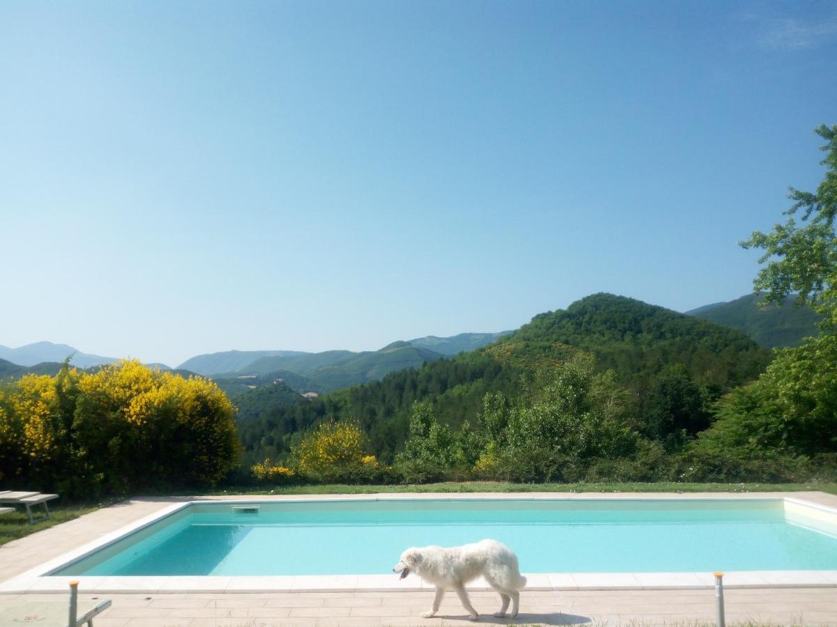 Agriturismo Del Frontino - Lo Studio アックアラーニャ エクステリア 写真