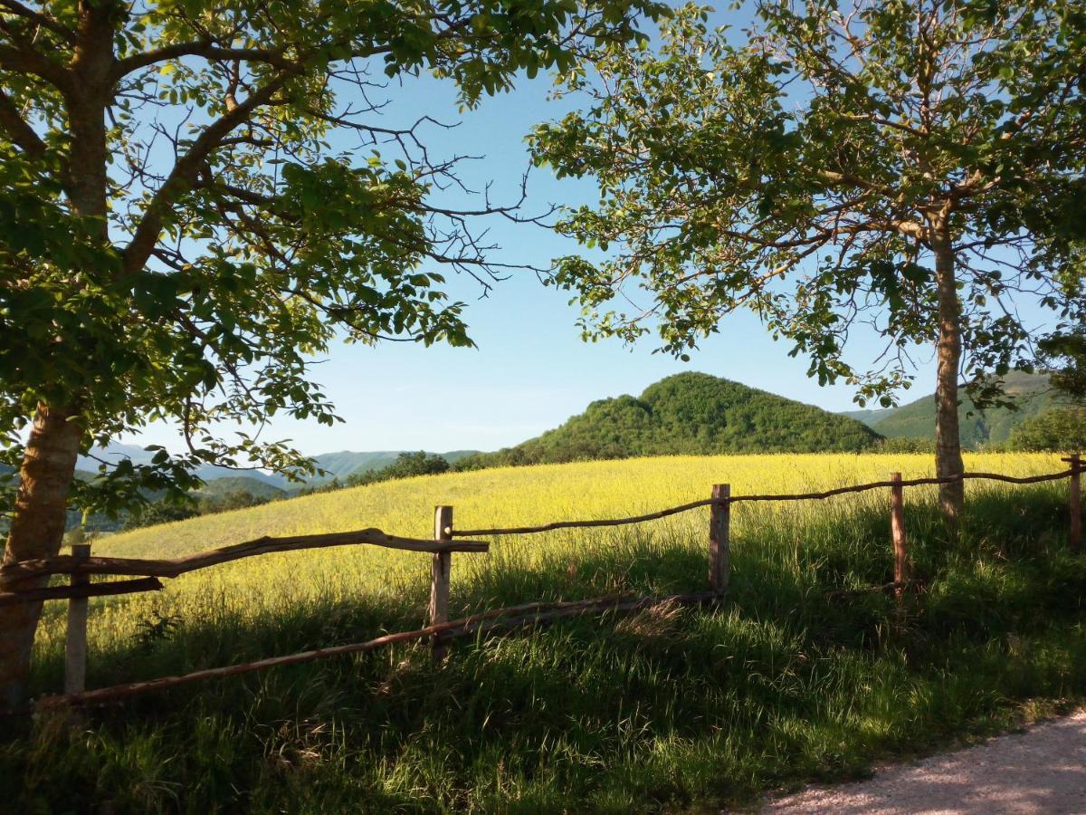 Agriturismo Del Frontino - Lo Studio アックアラーニャ エクステリア 写真