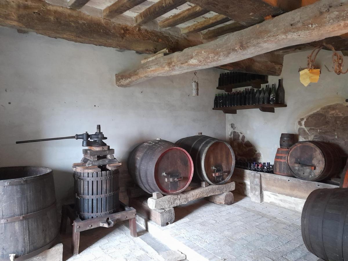 Agriturismo Del Frontino - Lo Studio アックアラーニャ エクステリア 写真