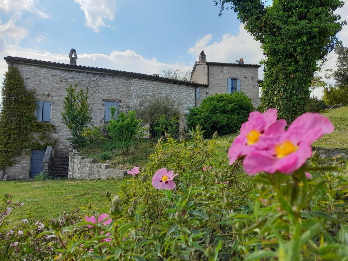 Agriturismo Del Frontino - Lo Studio アックアラーニャ エクステリア 写真