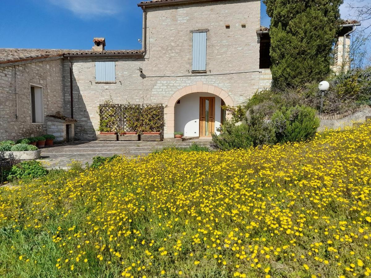 Agriturismo Del Frontino - Lo Studio アックアラーニャ エクステリア 写真