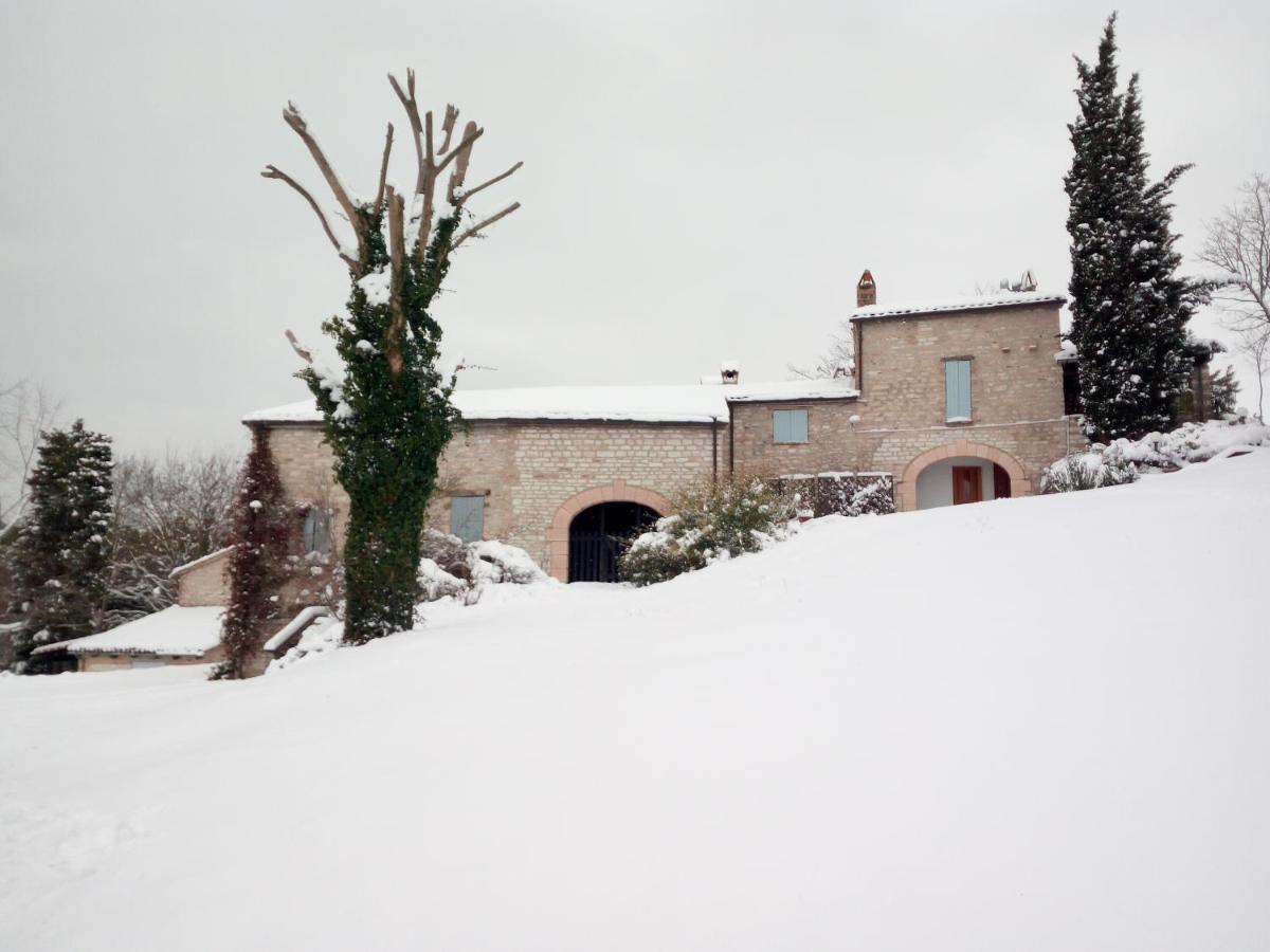 Agriturismo Del Frontino - Lo Studio アックアラーニャ エクステリア 写真