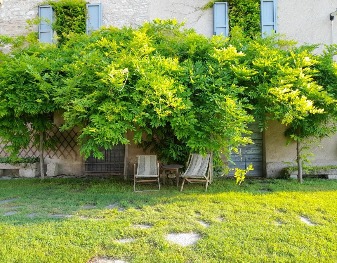 Agriturismo Del Frontino - Lo Studio アックアラーニャ エクステリア 写真