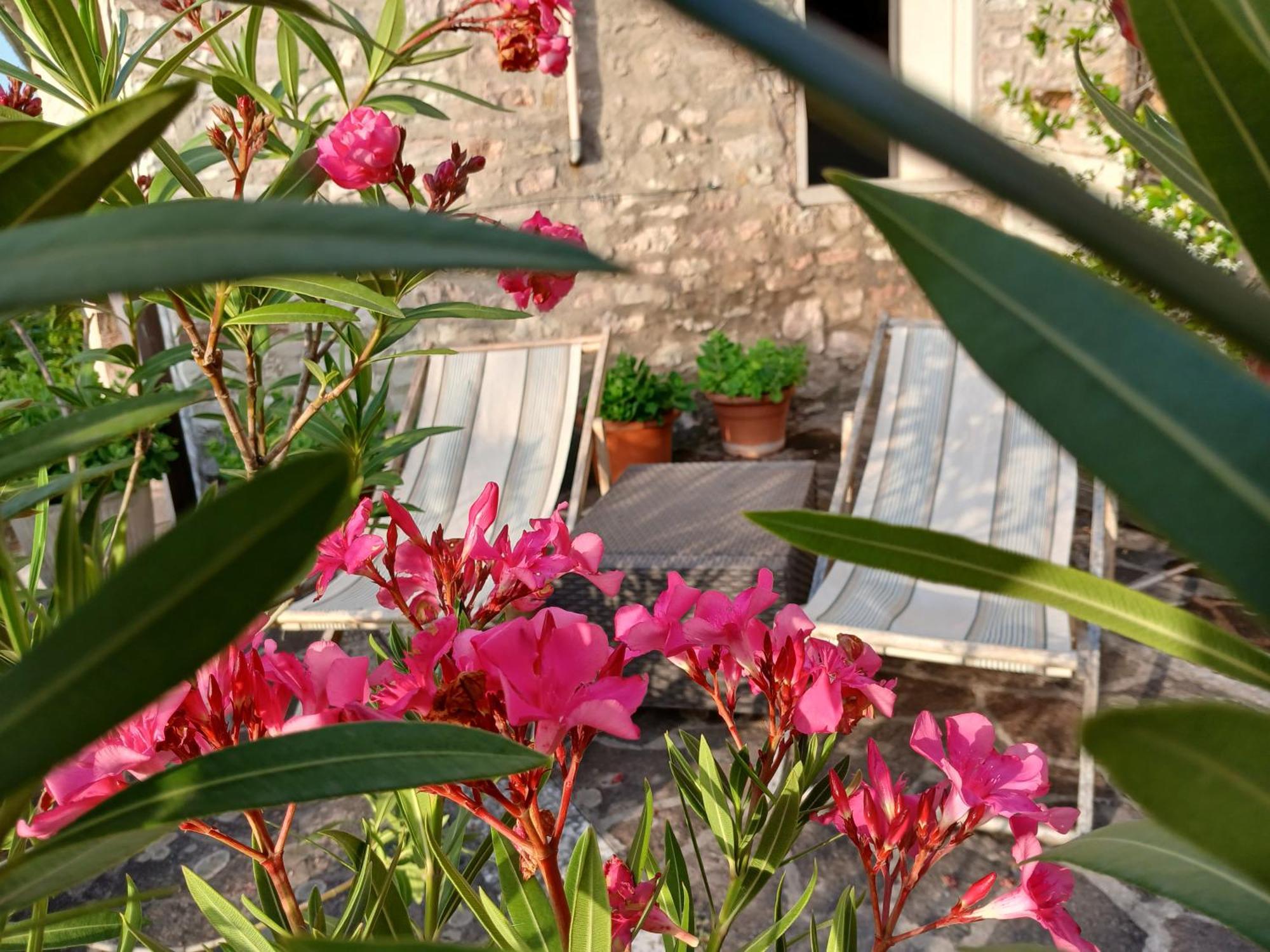 Agriturismo Del Frontino - Lo Studio アックアラーニャ エクステリア 写真