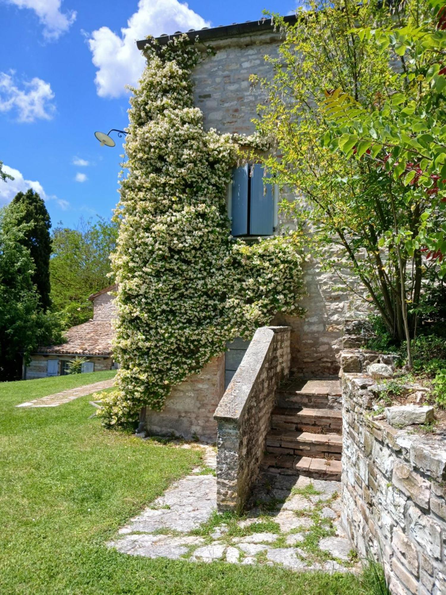 Agriturismo Del Frontino - Lo Studio アックアラーニャ エクステリア 写真
