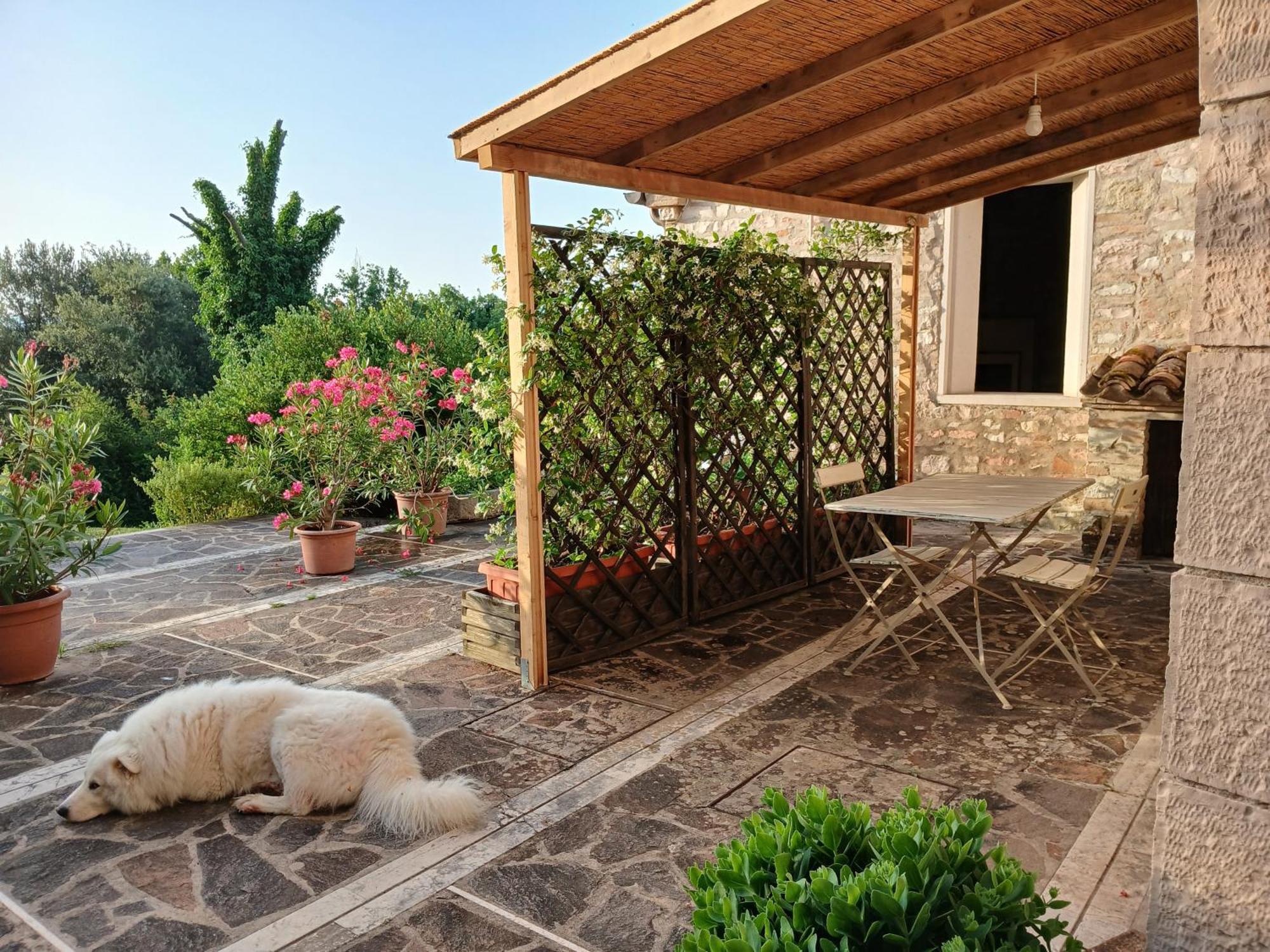 Agriturismo Del Frontino - Lo Studio アックアラーニャ エクステリア 写真