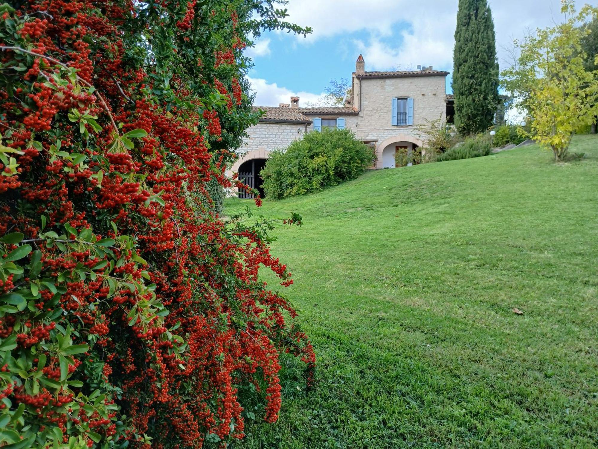 Agriturismo Del Frontino - Lo Studio アックアラーニャ エクステリア 写真